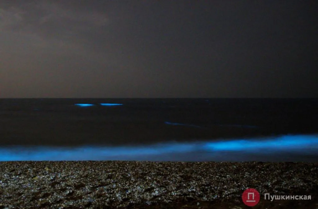На Одещині море світиться блакиттю