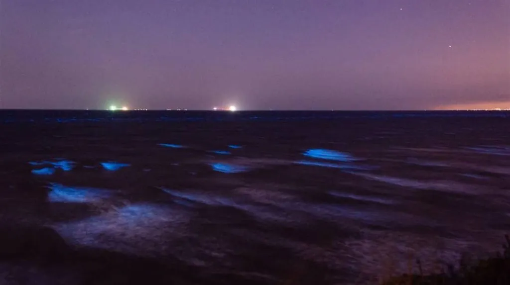 На Одещині море світиться блакиттю - фото 2