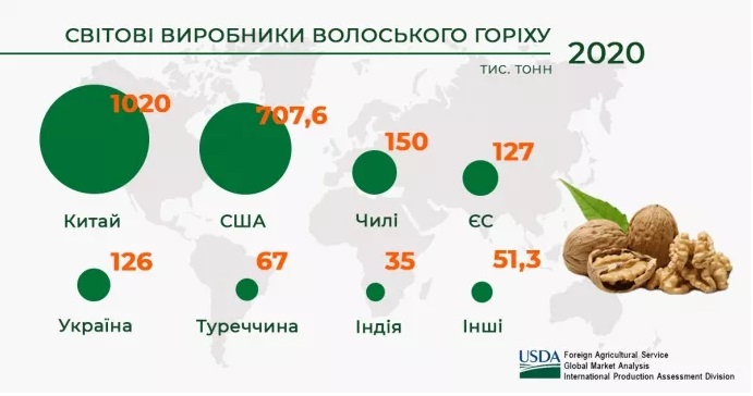 Україна увійшла до топ-5 світових виробників волоського горіха - фото 2