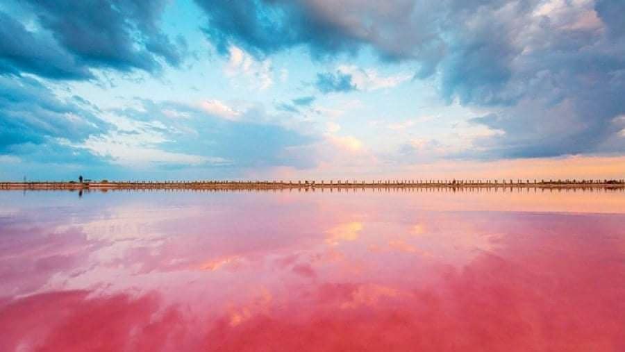 Казка “Як маленький Вітерець ключі од Вирію збирав” - фото 3