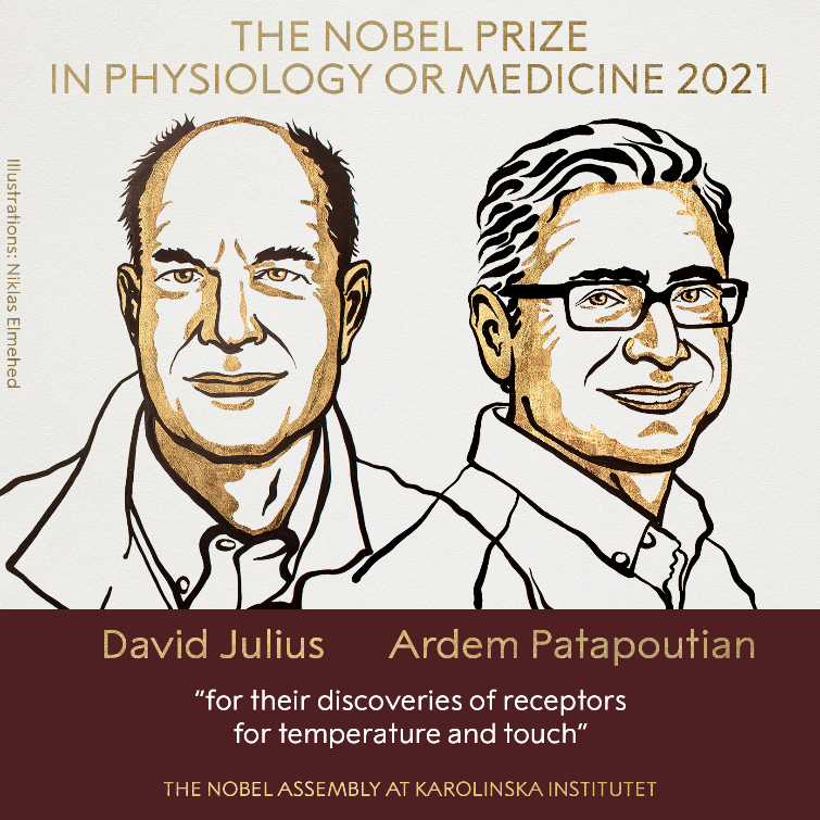 Нобелівський комітет визначив лауреатів Нобелівської премії з медицини-2021 - фото 2